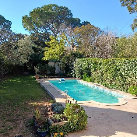 Studio Charmant Et Calme Villeneuve Les Avignon Entree Et Cour Independantes Climatisation Piscine Parking Dış mekan fotoğraf