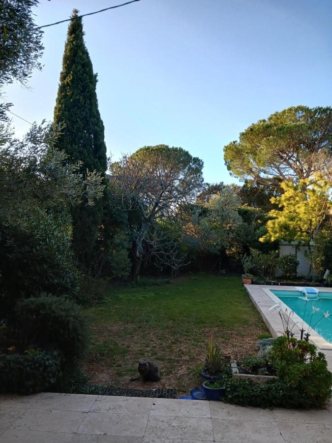 Studio Charmant Et Calme Villeneuve Les Avignon Entree Et Cour Independantes Climatisation Piscine Parking Dış mekan fotoğraf
