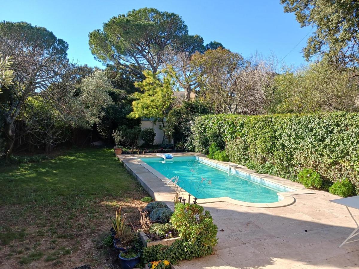 Studio Charmant Et Calme Villeneuve Les Avignon Entree Et Cour Independantes Climatisation Piscine Parking Dış mekan fotoğraf
