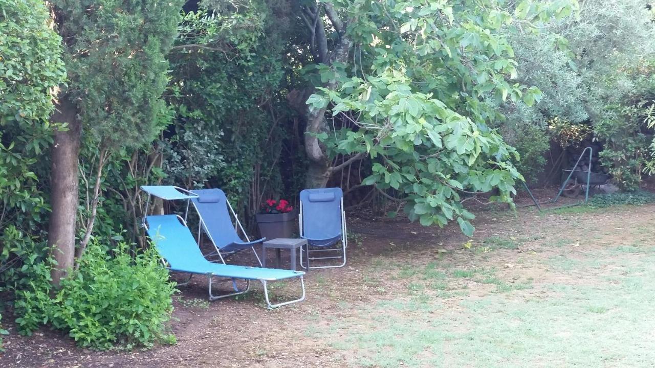 Studio Charmant Et Calme Villeneuve Les Avignon Entree Et Cour Independantes Climatisation Piscine Parking Dış mekan fotoğraf