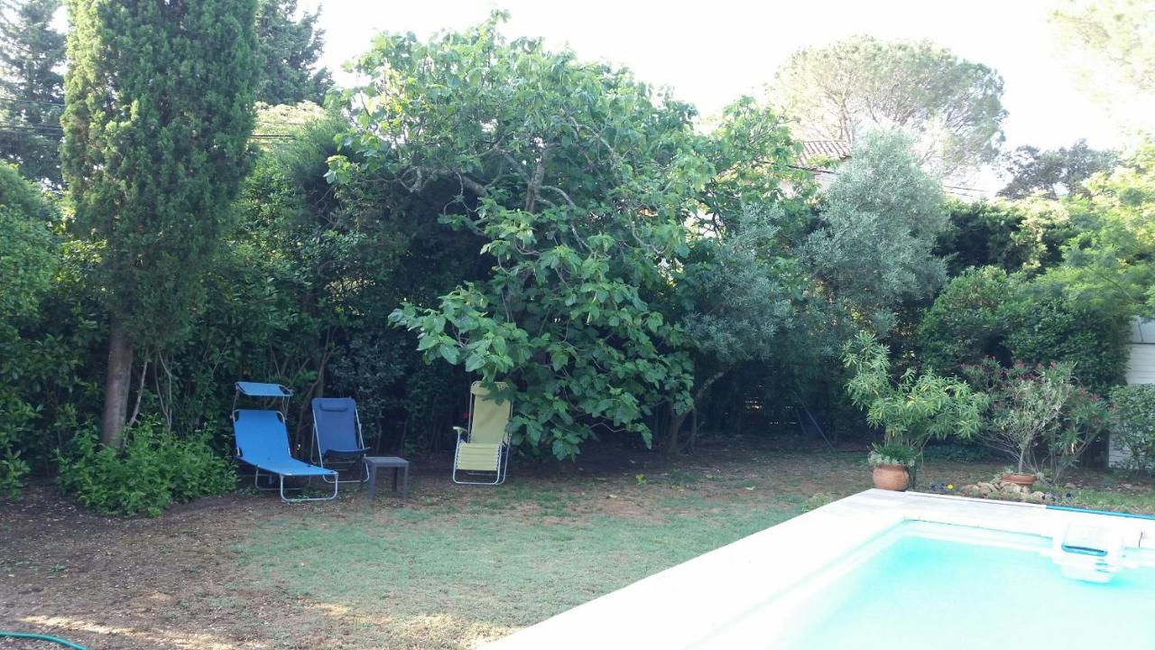 Studio Charmant Et Calme Villeneuve Les Avignon Entree Et Cour Independantes Climatisation Piscine Parking Dış mekan fotoğraf